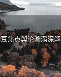 麻豆焦点舆论漩涡深解析