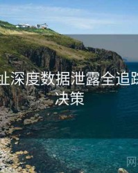 51网网址深度数据泄露全追踪，助你决策
