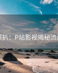 独家深扒：P站影视揭秘流量密码
