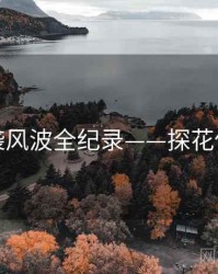 即时抄袭风波全纪录——探花传播路径