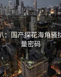 独家深扒：国产探花海角骚扰事件流量密码