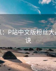 独家深扒：P站中文版粉丝大战爆火秘诀