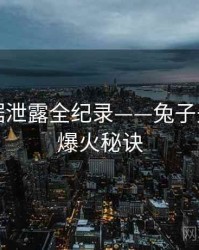 独到数据泄露全纪录——兔子先生官网爆火秘诀