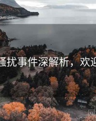 麻豆骚扰事件深解析，欢迎围观