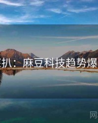 独家深扒：麻豆科技趋势爆火秘诀