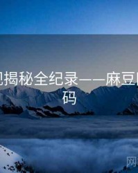 深度影视揭秘全纪录——麻豆网流量密码