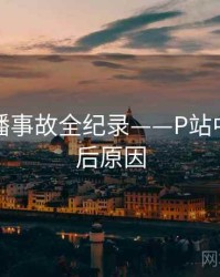 深度直播事故全纪录——P站中文版背后原因