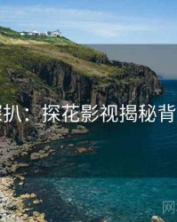 独家深扒：探花影视揭秘背后原因