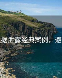 麻豆数据泄露经典案例，避坑必读
