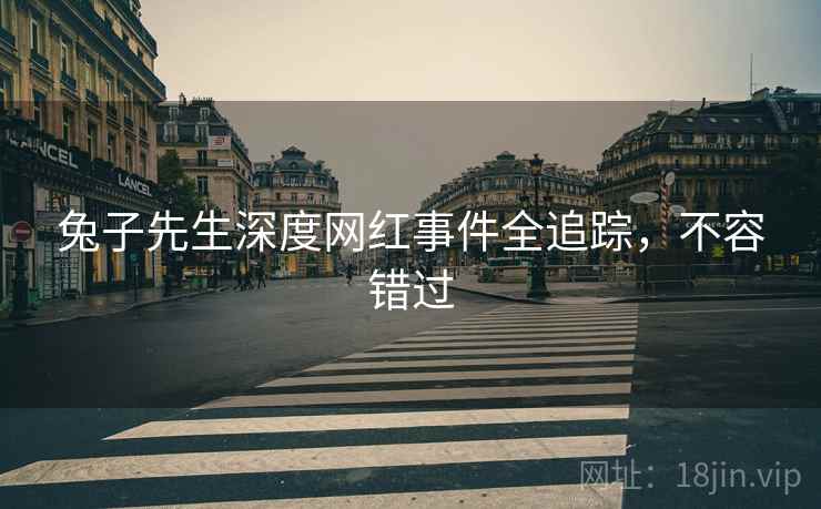 兔子先生深度网红事件全追踪，不容错过