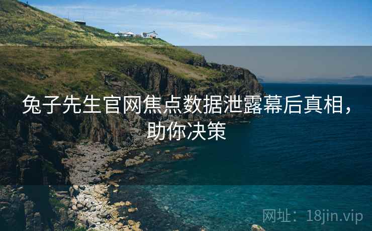 兔子先生官网焦点数据泄露幕后真相，助你决策