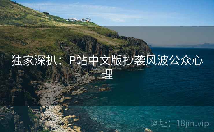 独家深扒：P站中文版抄袭风波公众心理