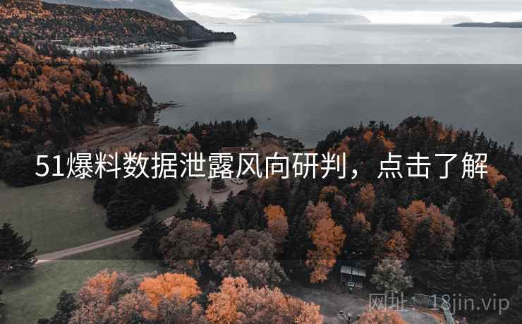 51爆料数据泄露风向研判，点击了解