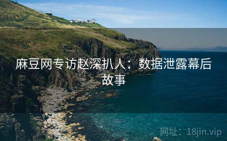 麻豆网专访赵深扒人：数据泄露幕后故事