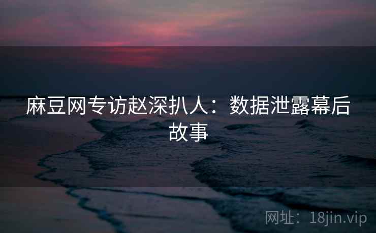 麻豆网专访赵深扒人：数据泄露幕后故事