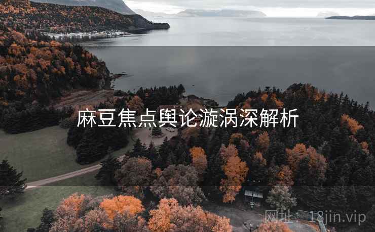麻豆焦点舆论漩涡深解析