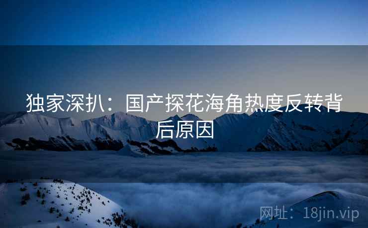 独家深扒：国产探花海角热度反转背后原因