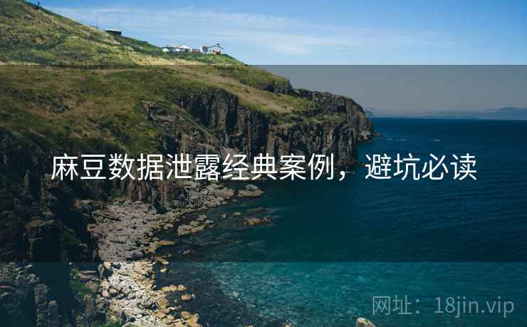 麻豆数据泄露经典案例，避坑必读