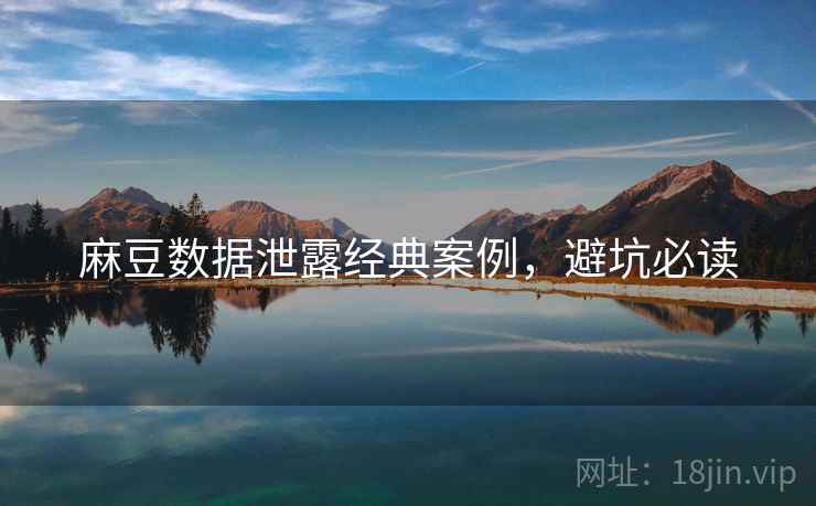 麻豆数据泄露经典案例，避坑必读