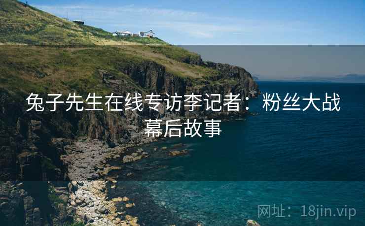 兔子先生在线专访李记者：粉丝大战幕后故事