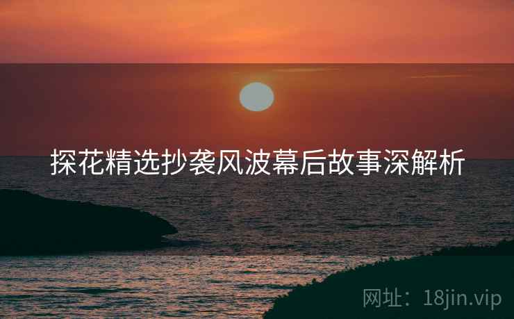探花精选抄袭风波幕后故事深解析