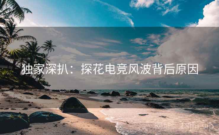 独家深扒：探花电竞风波背后原因