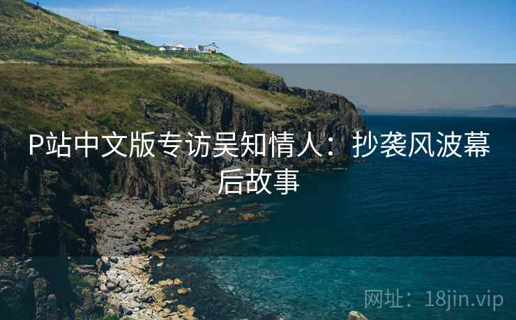 P站中文版专访吴知情人：抄袭风波幕后故事