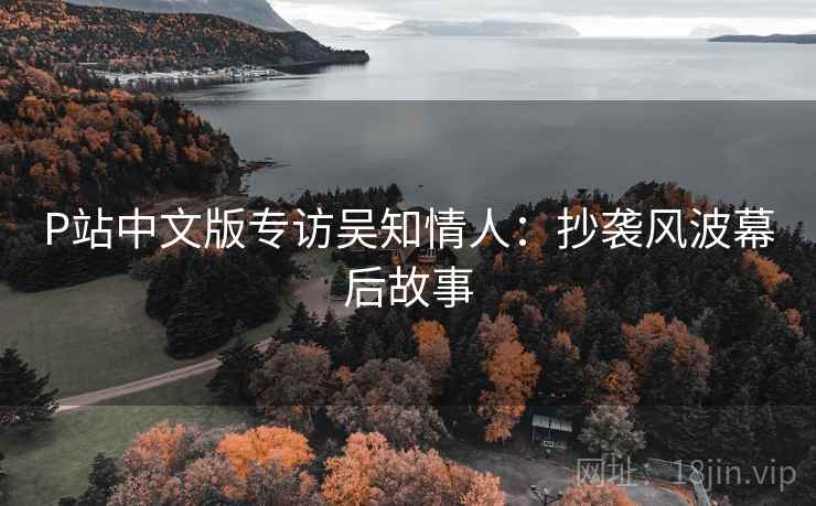 P站中文版专访吴知情人：抄袭风波幕后故事