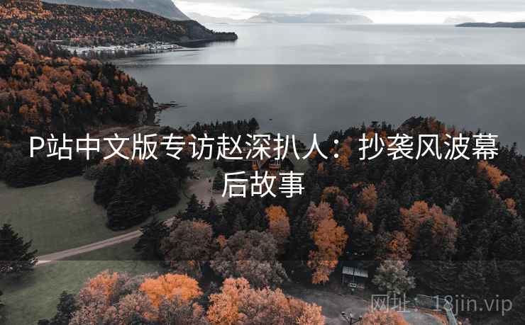 P站中文版专访赵深扒人：抄袭风波幕后故事