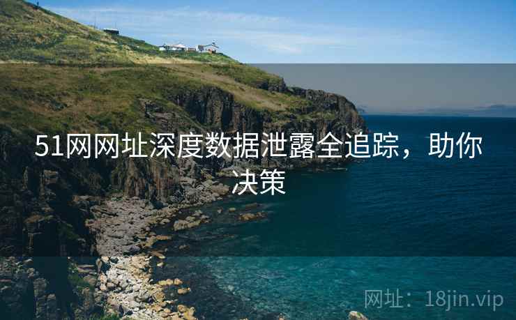 51网网址深度数据泄露全追踪，助你决策