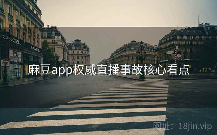 麻豆app权威直播事故核心看点