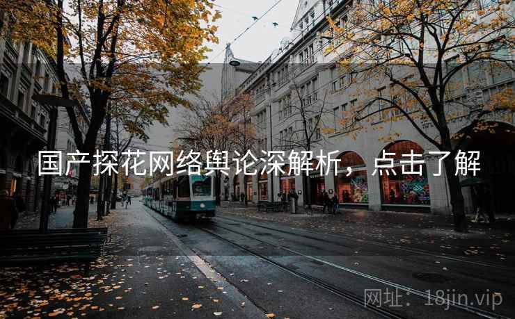 国产探花网络舆论深解析，点击了解
