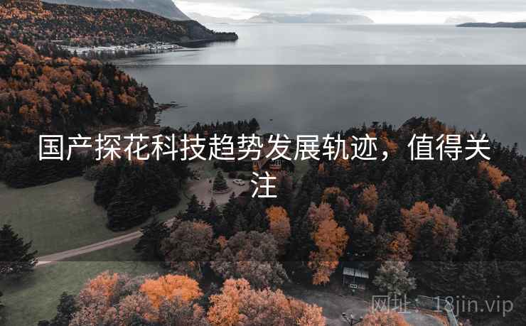 国产探花科技趋势发展轨迹，值得关注