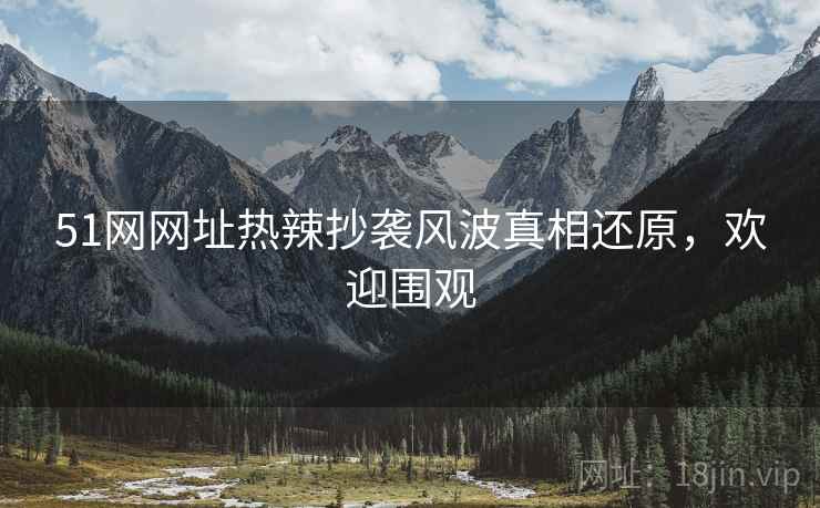 51网网址热辣抄袭风波真相还原，欢迎围观