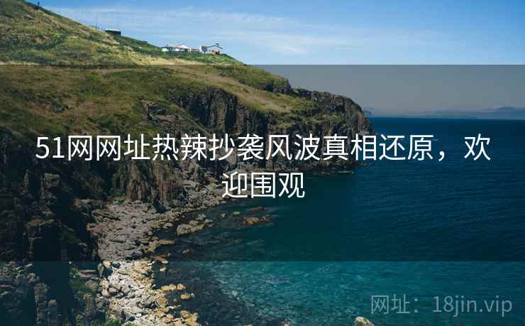 51网网址热辣抄袭风波真相还原，欢迎围观