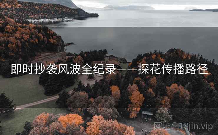 即时抄袭风波全纪录——探花传播路径