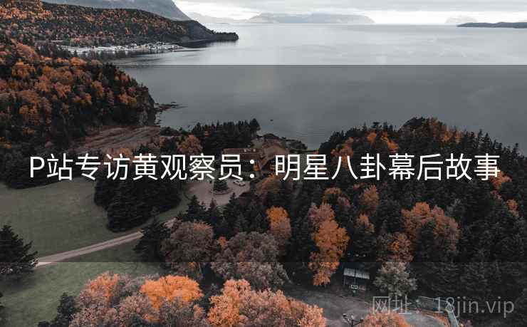 P站专访黄观察员：明星八卦幕后故事