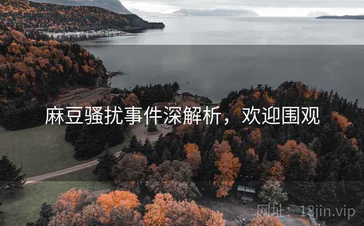 麻豆骚扰事件深解析，欢迎围观
