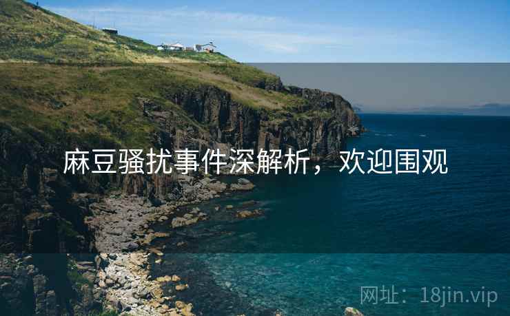 麻豆骚扰事件深解析，欢迎围观