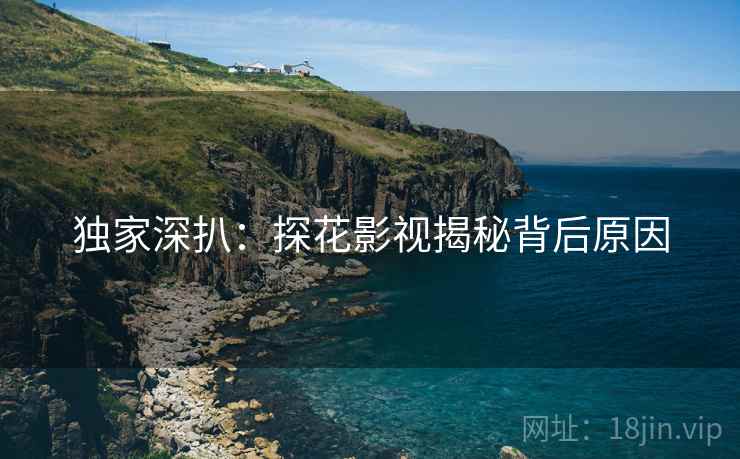 独家深扒：探花影视揭秘背后原因
