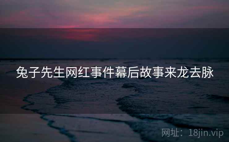 兔子先生网红事件幕后故事来龙去脉